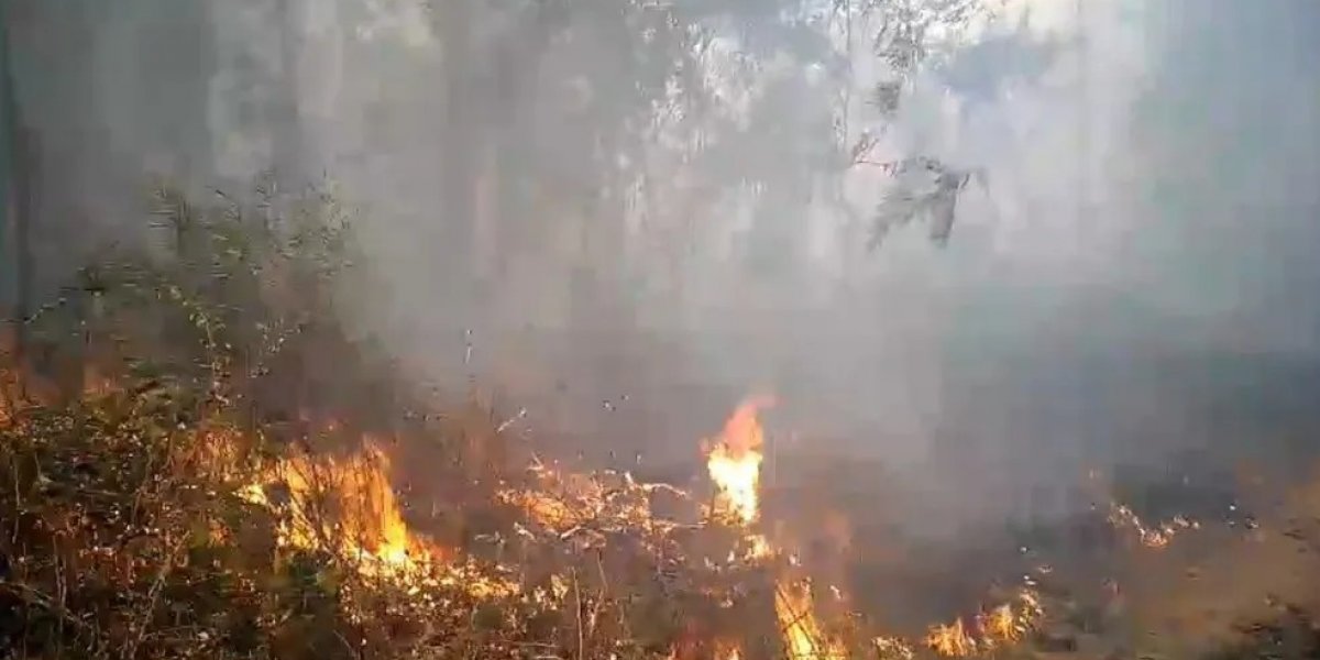 Território de Comunidade Indígena é atingido por incêndio que durou três dias