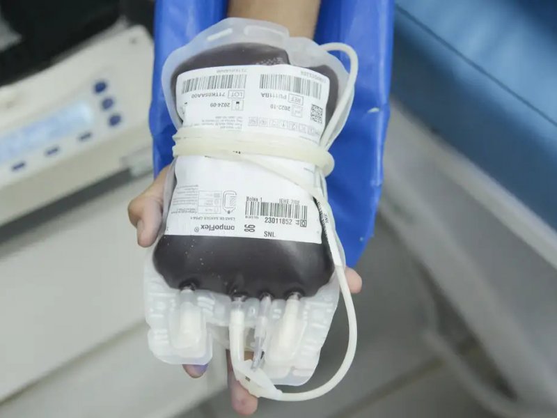 Aplicativo facilitará doações de sangue no Brasil