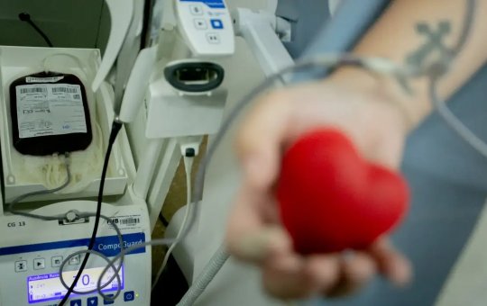 App que incentiva doação de sangue já pode ser baixado