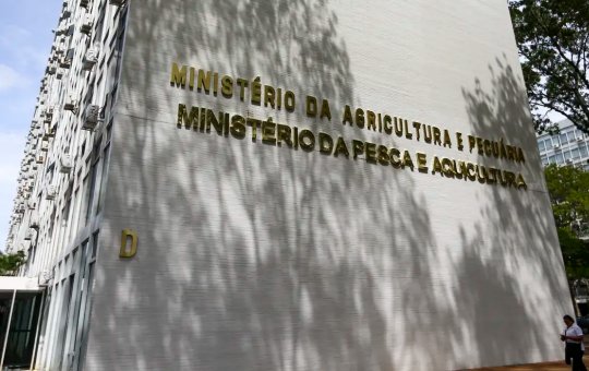 Força-tarefa apreende mais de 6 mil garrafas de azeite falsificado