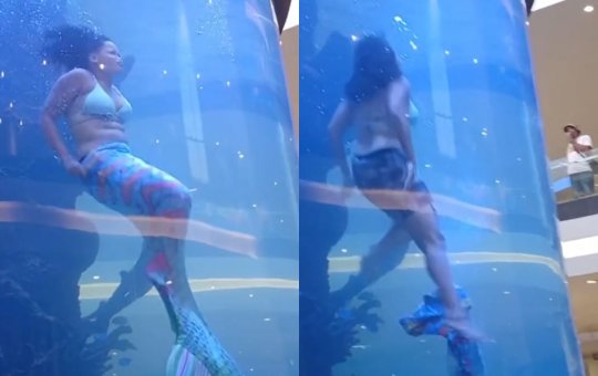 "Sereia" quase se afoga após ficar presa em aquário na África do Sul