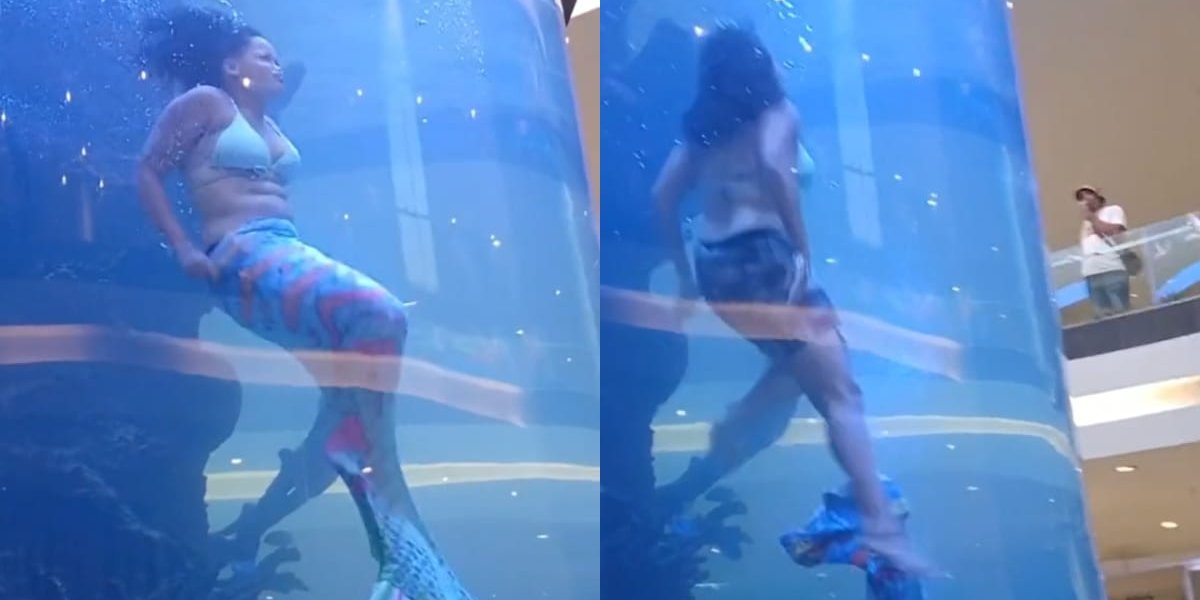 "Sereia" quase se afoga após ficar presa em aquário na África do Sul