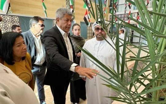 Governador Jerônimo Rodrigues participa da COP 28 nesta sexta (1°)