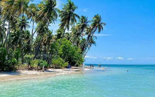 Salvador terá voo direto para Boipeba a partir da próxima semana