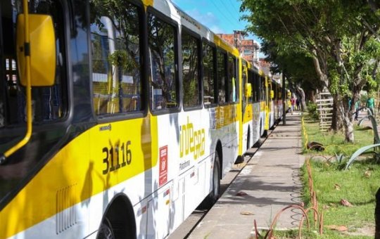 Boca da Mata, Castelo Branco e Cajazeiras 11 terão nova linha de ônibus