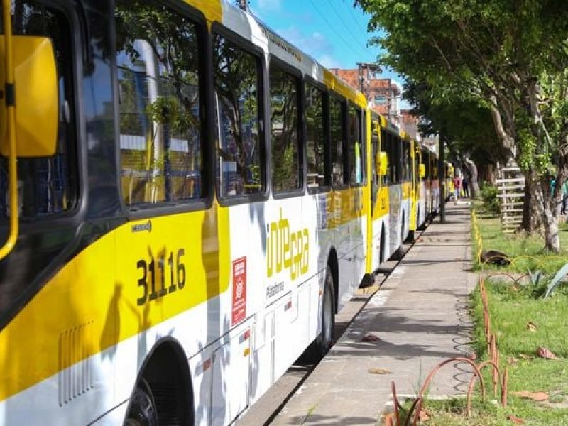 Boca da Mata, Castelo Branco e Cajazeiras 11 terão nova linha de ônibus