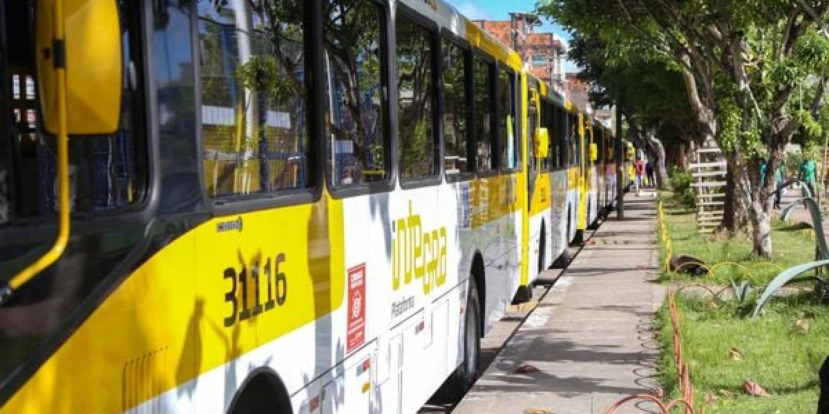 Boca da Mata, Castelo Branco e Cajazeiras 11 terão nova linha de ônibus