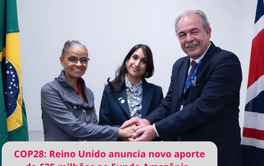 Reino Unido anuncia mais R$ 215 milhões para o Fundo Amazônia