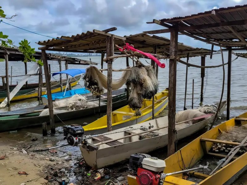 Peixe na água e rede vazia: desastre da Braskem atinge pescadores