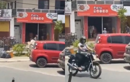 Boi invade petshop e causa correria na cidade de Amargosa