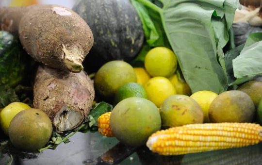 Agrotóxicos: 25% dos alimentos de origem vegetal no país têm resíduos
