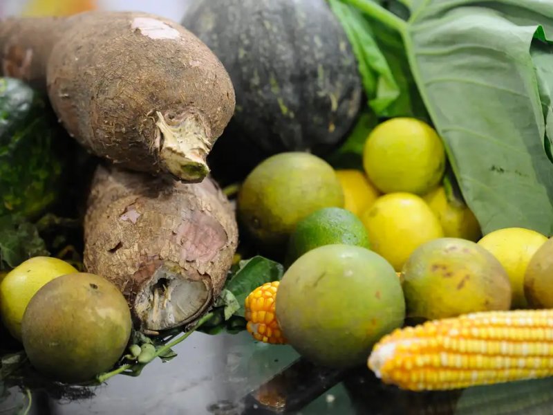 Agrotóxicos: 25% dos alimentos de origem vegetal no país têm resíduos