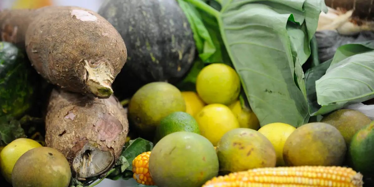 Agrotóxicos: 25% dos alimentos de origem vegetal no país têm resíduos