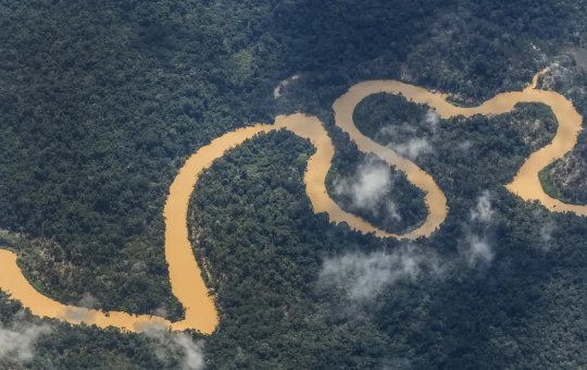 Noruega anuncia mais R$ 245 milhões para o Fundo Amazônia
