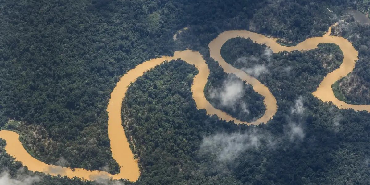 Noruega anuncia mais R$ 245 milhões para o Fundo Amazônia