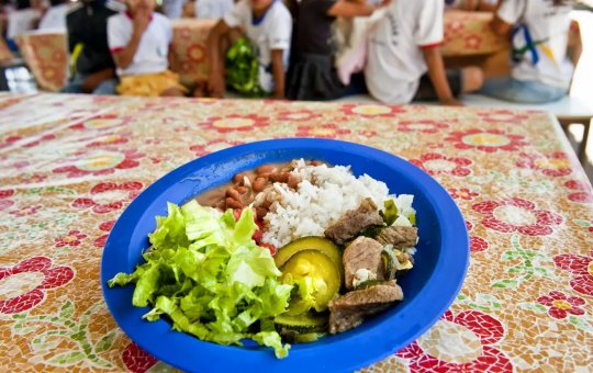 BNDES destina verba do Fundo da Amazônia para merenda escolar