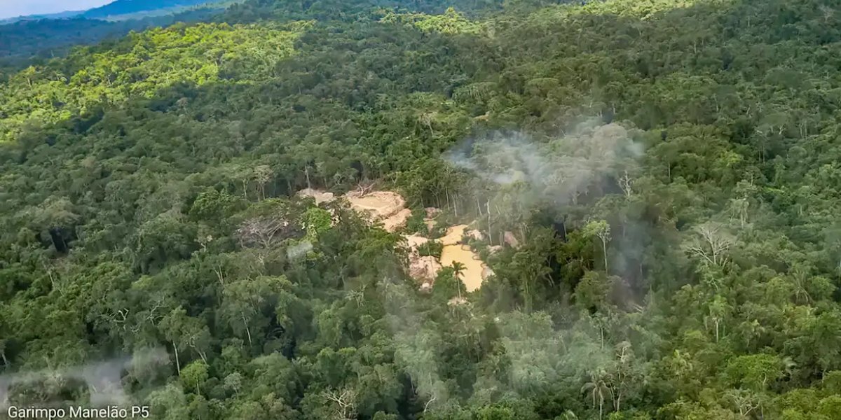 Comissão do Senado aprova porte de arma a agentes da Funai