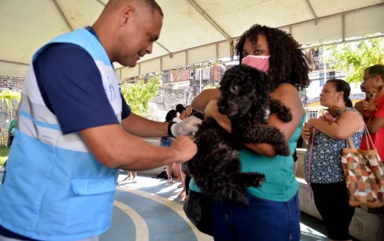 Salvador realiza mutirão para aplicação da vacina V10 em cães