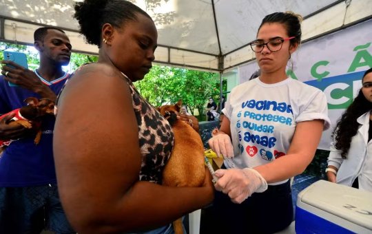 Secis realiza mutirão para aplicação da vacina V10 em Salvador