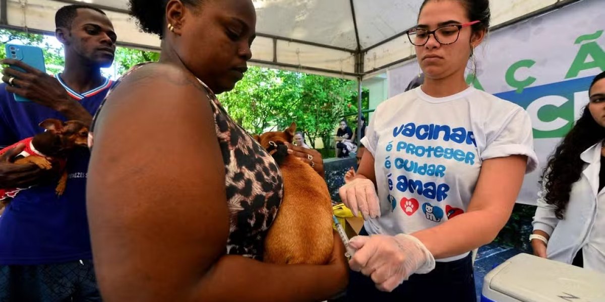 Secis realiza mutirão para aplicação da vacina V10 em Salvador