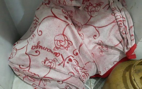 Suspeito diz que matou dentista Lucas Maia por dívida de R$ 100