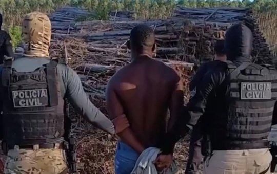 Grupo criminoso é preso por incendiar florestas para desviar madeira na Bahia