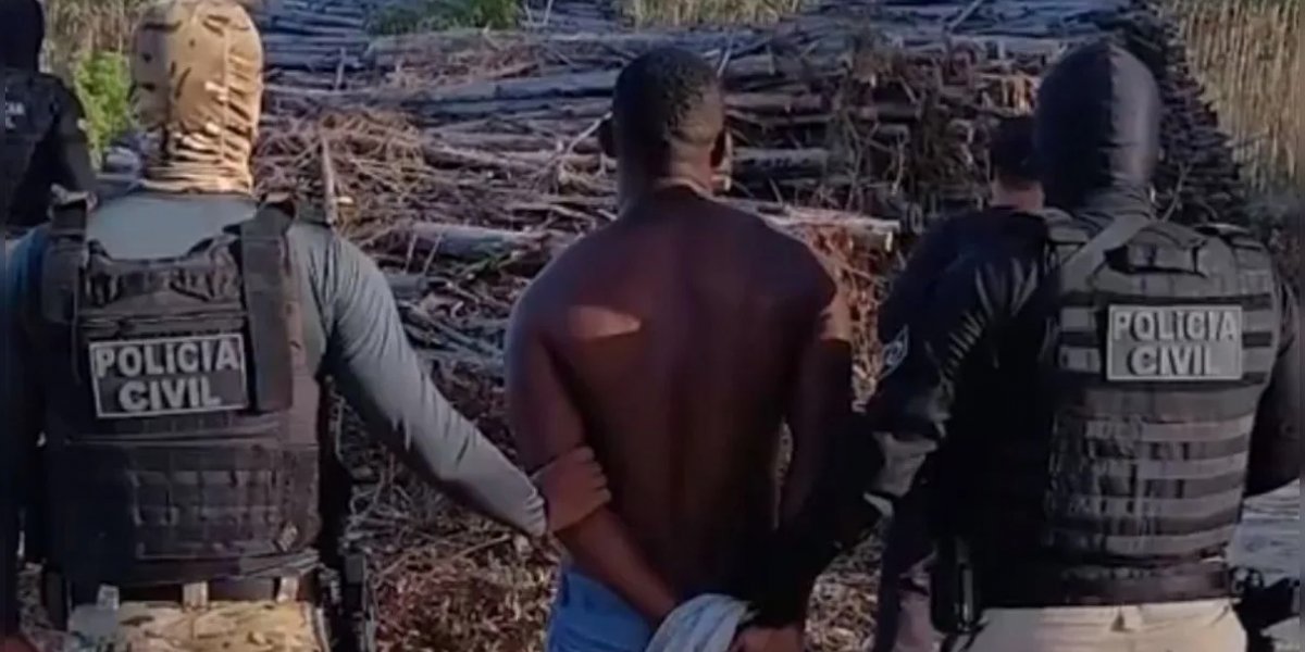 Grupo criminoso é preso por incendiar florestas para desviar madeira na Bahia