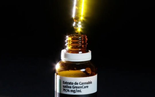 Governo de SP regulamenta fornecimento de cannabis medicinal pelo SUS