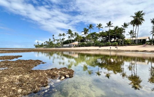 Municípios baianos relatam falta de água no último domingo do ano