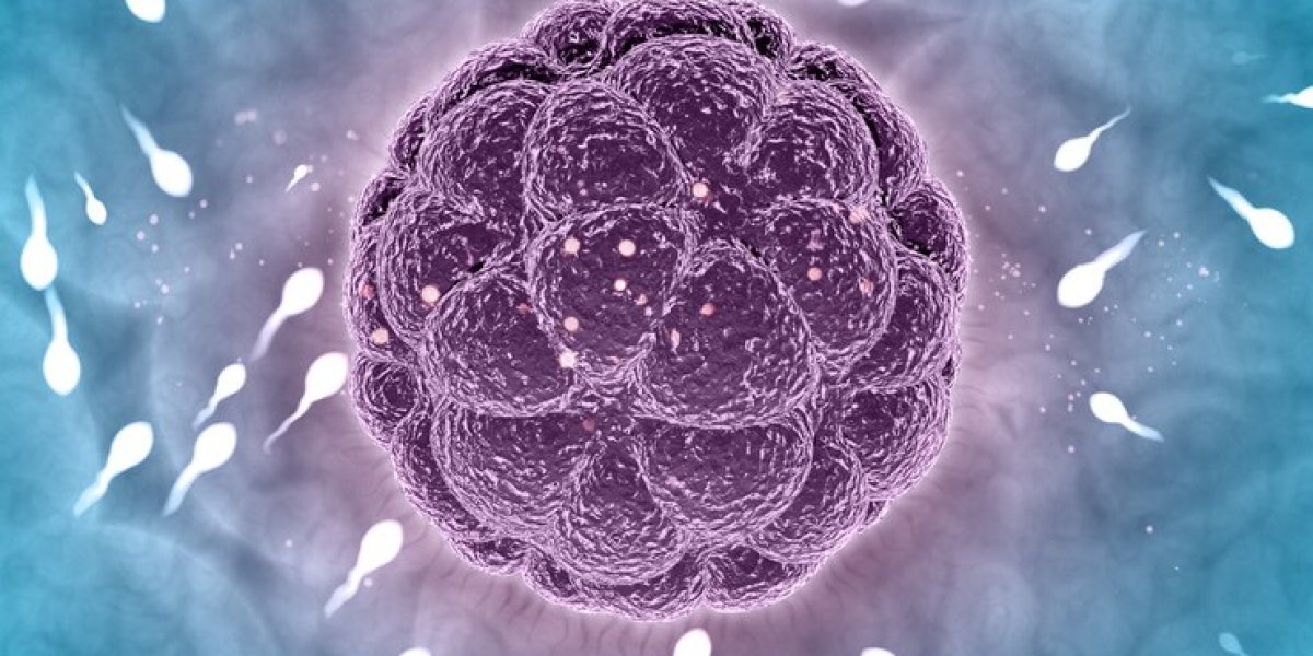 Idosa de 62 anos é autorizada a obter sêmen de falecido esposo