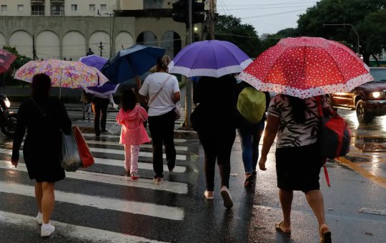 Chuvas em SP provocam alagamentos e queda de árvores