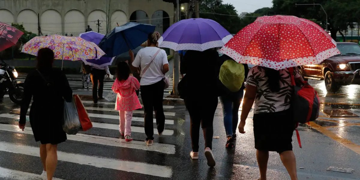 Chuvas em SP provocam alagamentos e queda de árvores