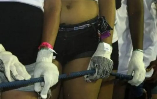 Greve dos cordeiros? Entenda o caso