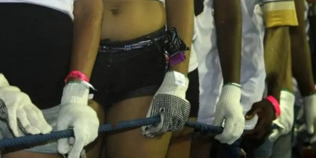 Greve dos cordeiros? Entenda o caso