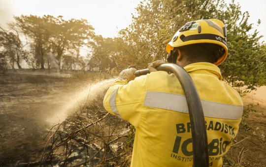Mais de 17,3 milhões de hectares foram queimados em 2023 no país