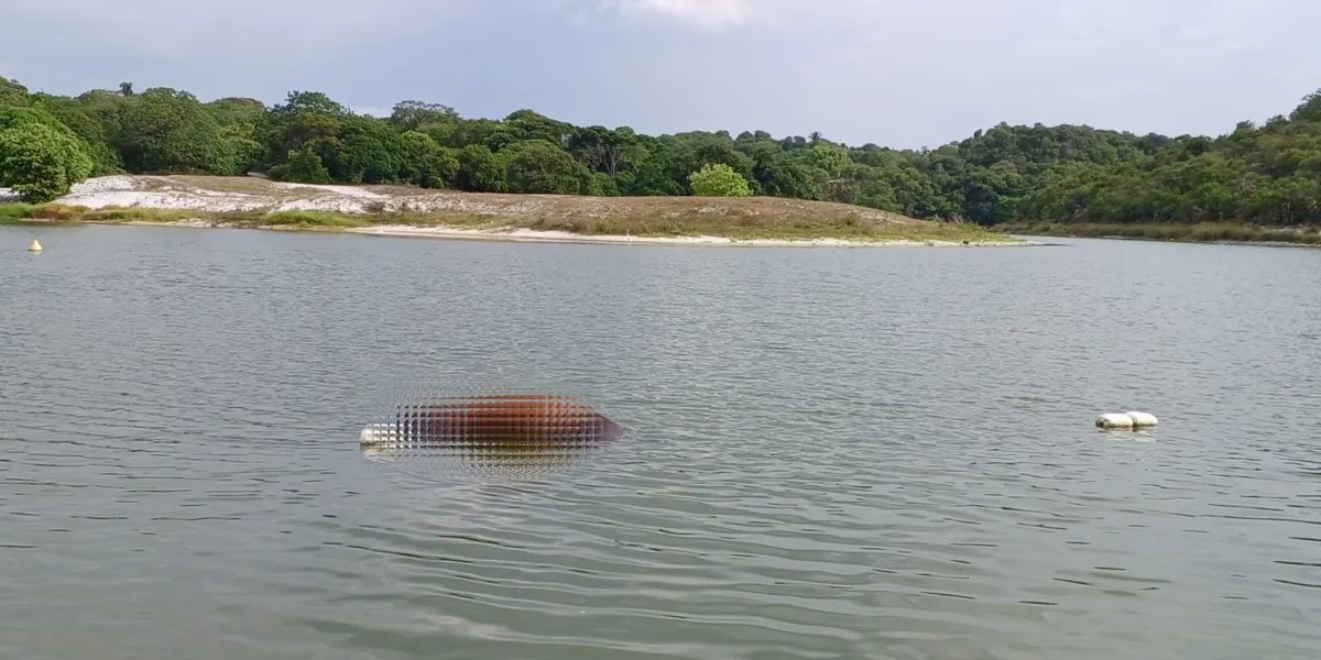 Corpo de cavalo é encontrado boiando na Lagoa do Abaeté