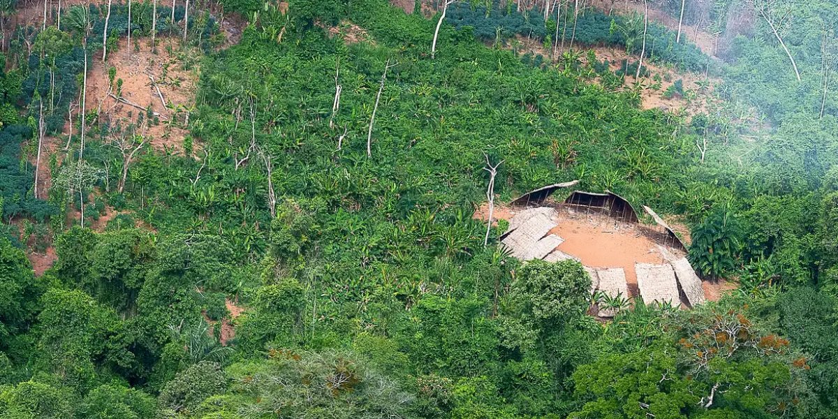 Desmatamento em áreas protegidas da Amazônia cai 73% em 2023