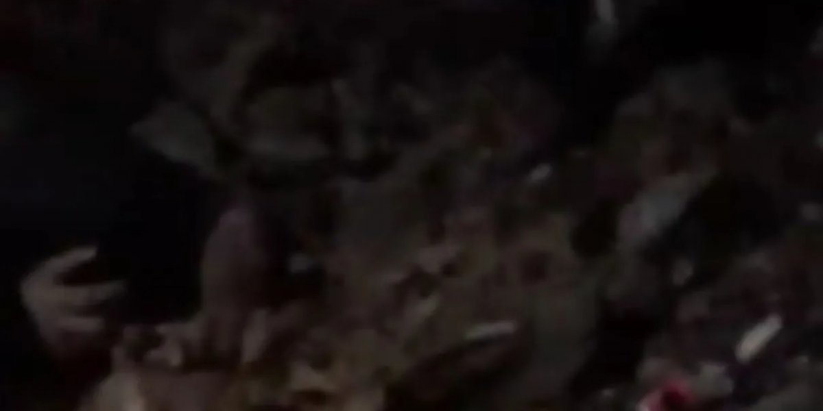 Garimpeiro morre em soterramento no interior da Bahia