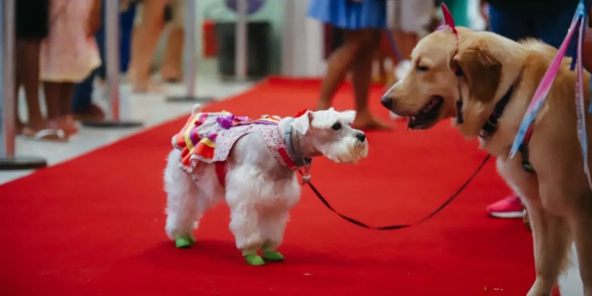 Shopping Bela Vista irá receber bloquinho com desfile para cães