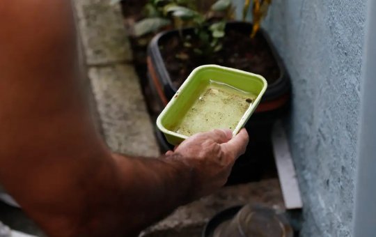 Vacina da dengue agrega outras estratégias de combate, diz ministério