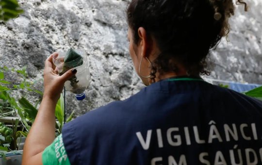 Minas Gerais confirma segunda morte por dengue