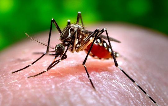 Brasil terá centro de emergência para combate da dengue