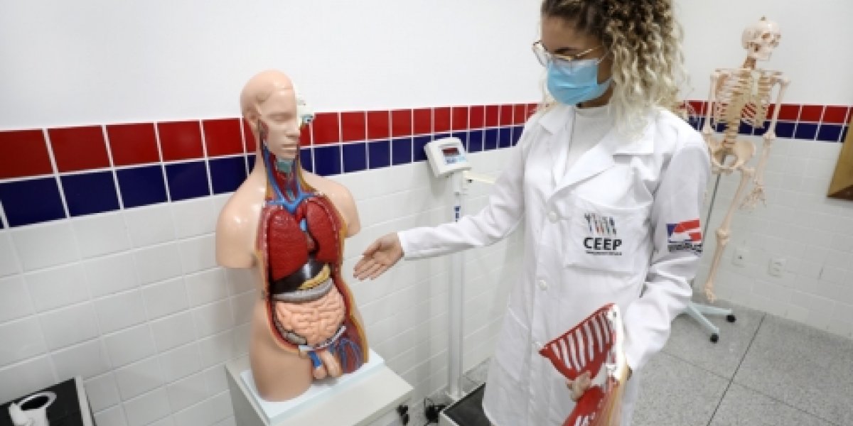 Secretaria de Educação abre inscrições para 3.690 vagas de cursos técnicos