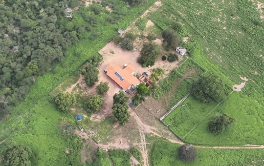 Operação Kariri: Fazendas de maconha, 5 presos e um baleado  