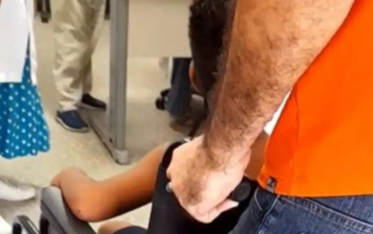 Abelhas atacam crianças em escola na Bahia