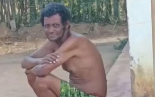 Homem morre após receber cerca de 100 picadas de abelha na Bahia