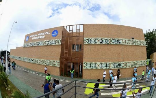 Hospital Veterinário de Salvador registra alta demanda e abandono de animal