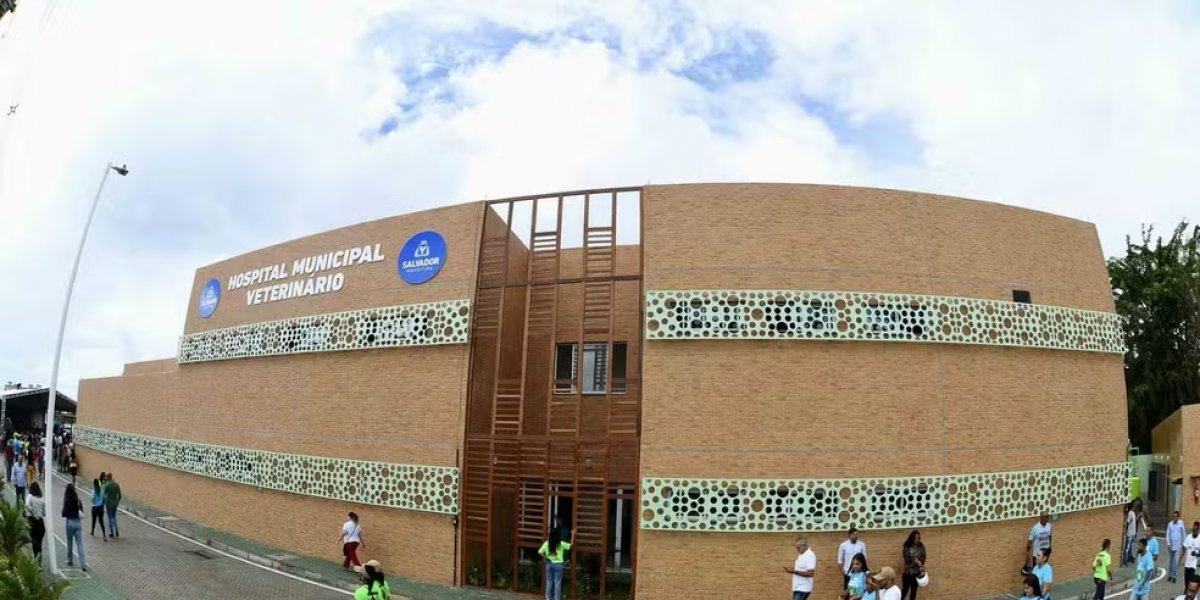 Hospital Veterinário de Salvador registra alta demanda e abandono de animal