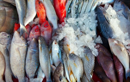 Peixe ou camarão? Saiba o que não pode faltar na mesa dos baianos