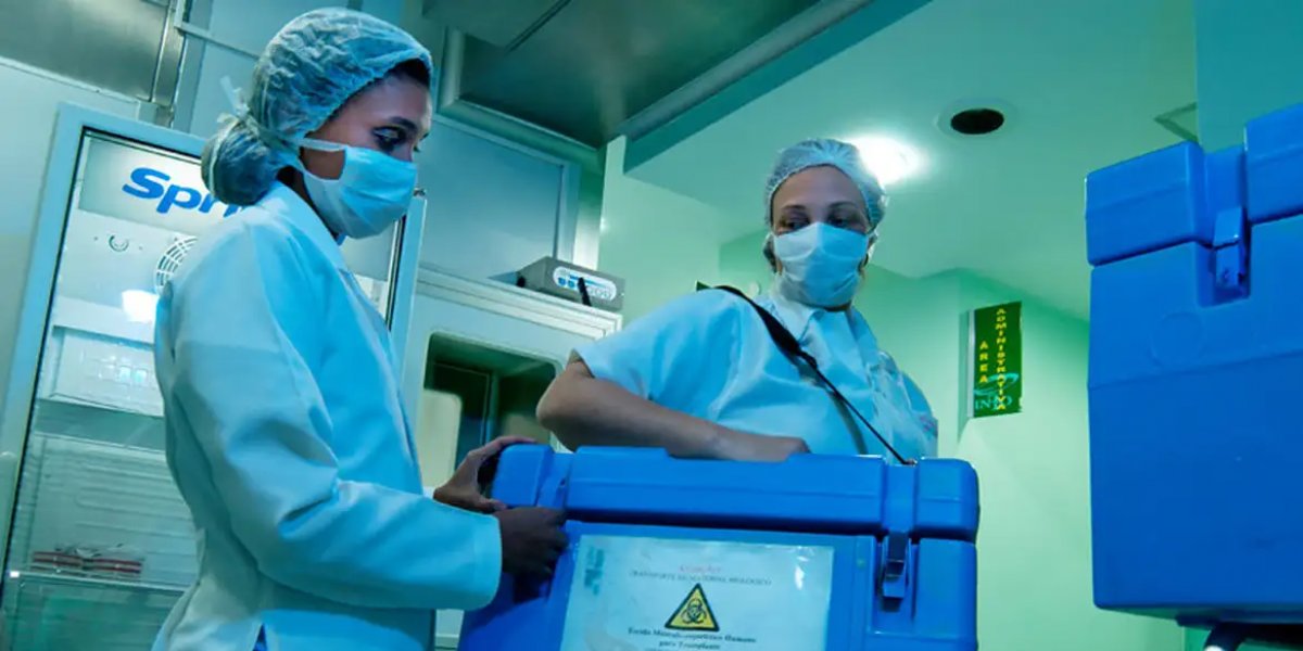 Doação de órgãos: autorização eletrônica é lançada na Bahia